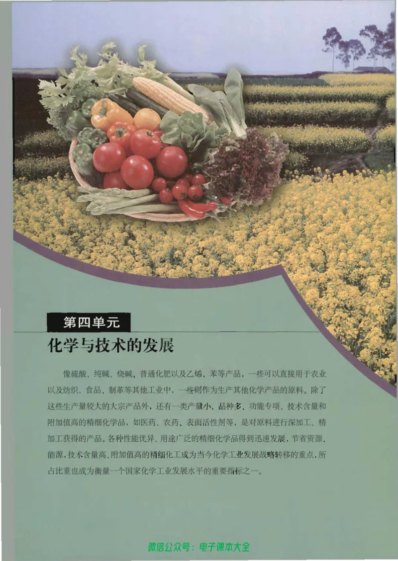 选修2《化学与技术》_高中三年全科资料_高中_高中电子教材_旧教材_高中化学（人教旧版）