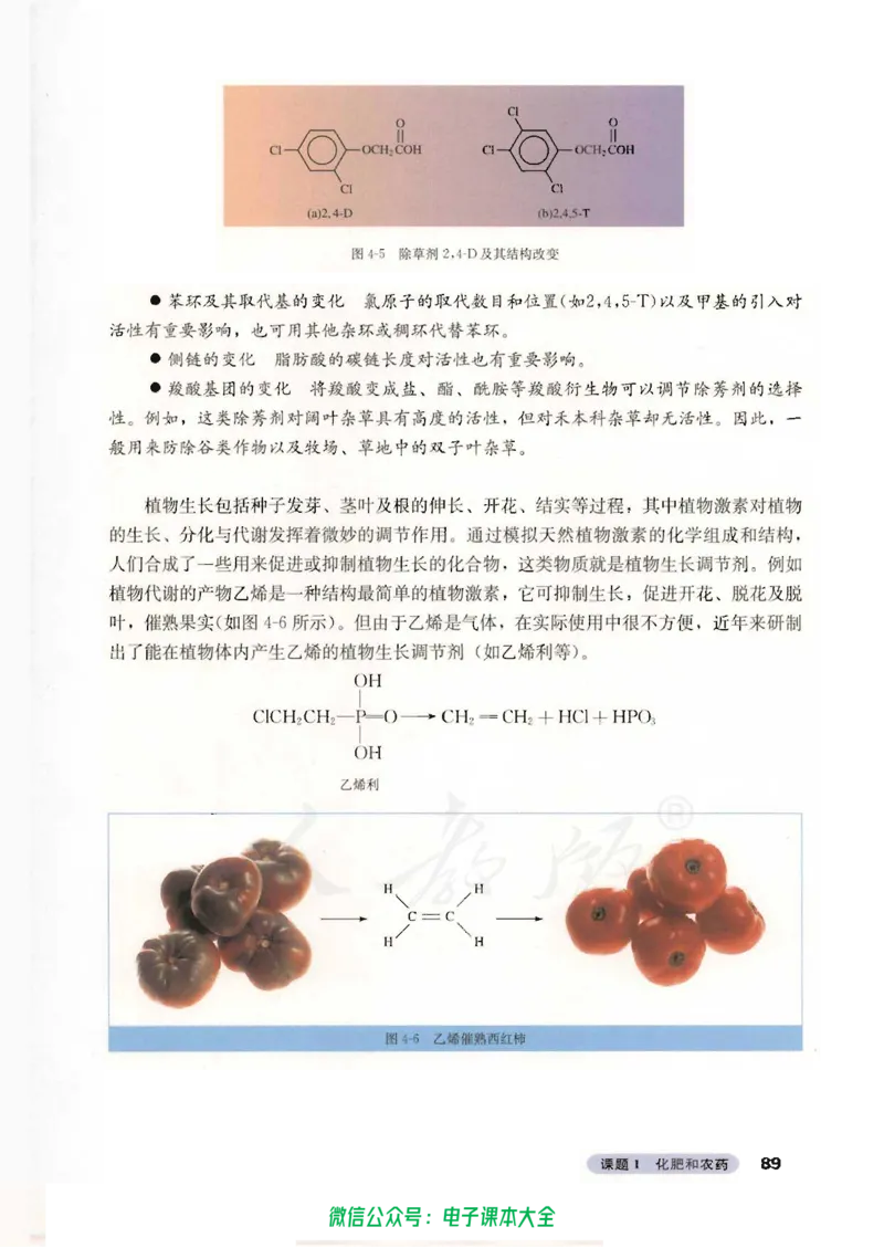 选修2《化学与技术》_高中三年全科资料_高中_高中电子教材_旧教材_高中化学（人教旧版）