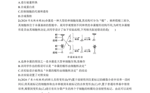 课时规范练7　细胞核与细胞结构的统一性_高中三年全科资料_高中_高中1_2026版《优化设计》新高考版一轮（生物+数学）_2026优化设计一轮复习(生物)_课后习题