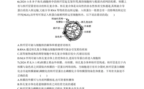 课时规范练7　细胞核与细胞结构的统一性_高中三年全科资料_高中_高中1_2026版《优化设计》新高考版一轮（生物+数学）_2026优化设计一轮复习(生物)_课后习题