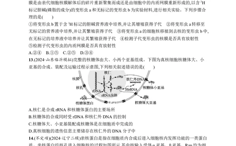 课时规范练7　细胞核与细胞结构的统一性_高中三年全科资料_高中_高中1_2026版《优化设计》新高考版一轮（生物+数学）_2026优化设计一轮复习(生物)_课后习题