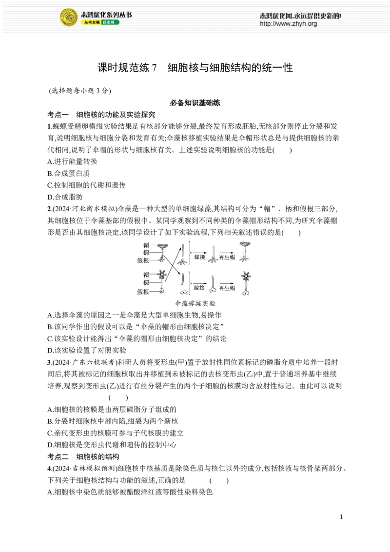 课时规范练7　细胞核与细胞结构的统一性_高中三年全科资料_高中_高中1_2026版《优化设计》新高考版一轮（生物+数学）_2026优化设计一轮复习(生物)_课后习题