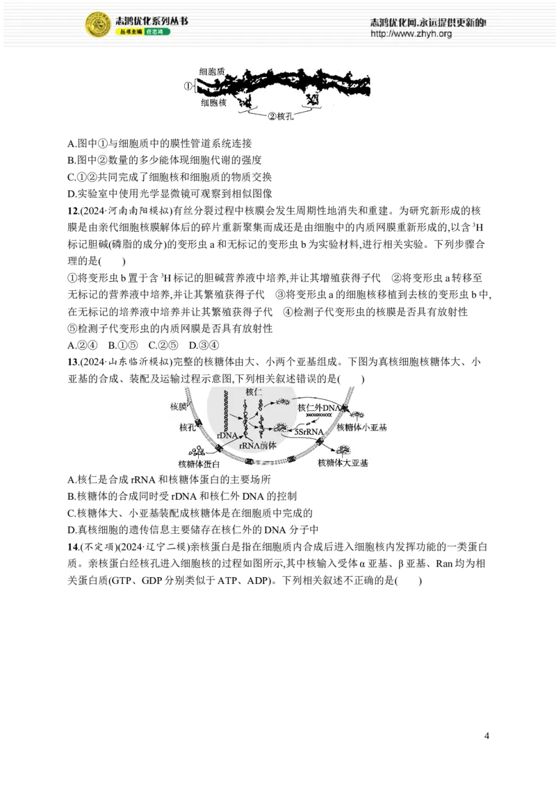课时规范练7　细胞核与细胞结构的统一性_高中三年全科资料_高中_高中1_2026版《优化设计》新高考版一轮（生物+数学）_2026优化设计一轮复习(生物)_课后习题