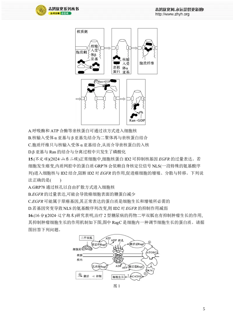 课时规范练7　细胞核与细胞结构的统一性_高中三年全科资料_高中_高中1_2026版《优化设计》新高考版一轮（生物+数学）_2026优化设计一轮复习(生物)_课后习题
