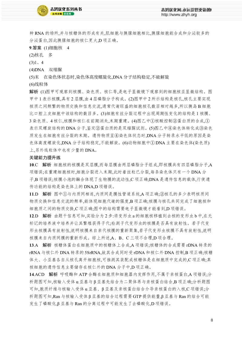 课时规范练7　细胞核与细胞结构的统一性_高中三年全科资料_高中_高中1_2026版《优化设计》新高考版一轮（生物+数学）_2026优化设计一轮复习(生物)_课后习题