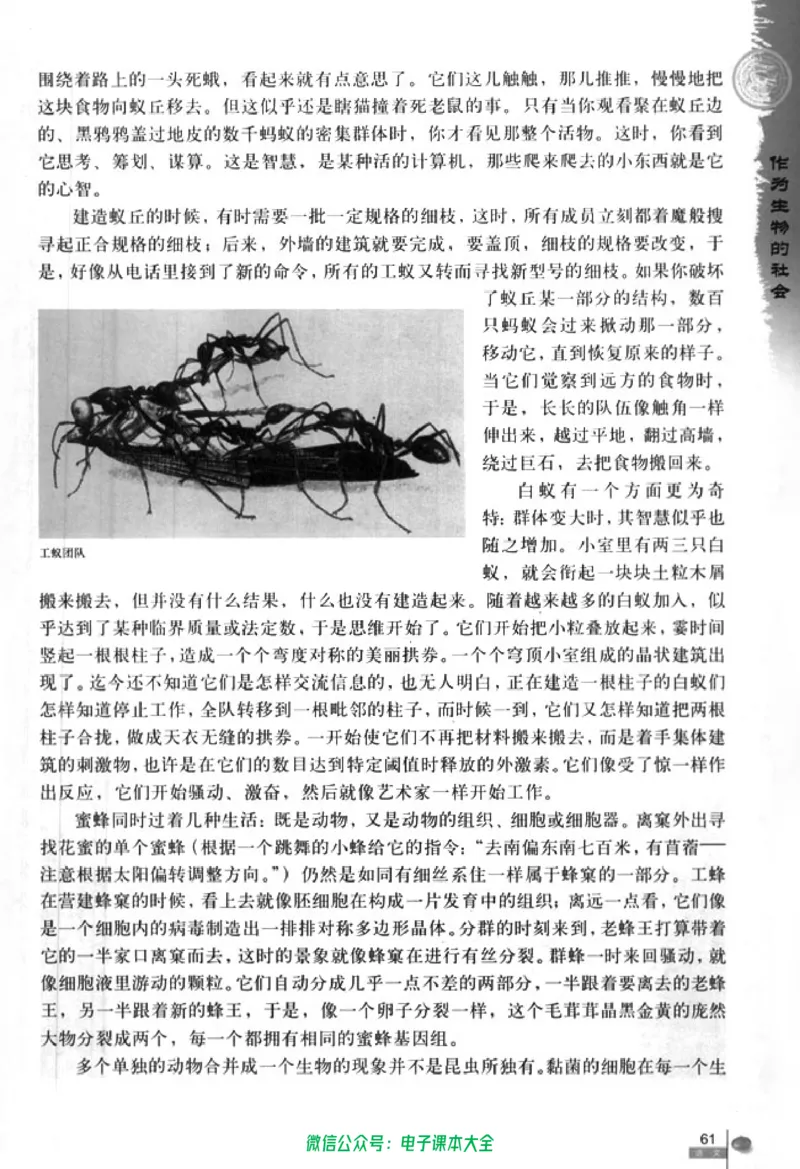 语文必修5_高中三年全科资料_高中_高中电子教材_旧教材_高中语文（人教旧版）_高中语文必修（5本）