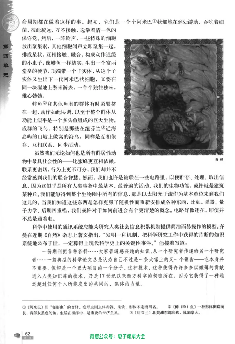 语文必修5_高中三年全科资料_高中_高中电子教材_旧教材_高中语文（人教旧版）_高中语文必修（5本）