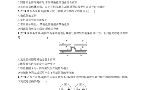 课时规范练19　减数分裂和受精作用过程_高中三年全科资料_高中_高中1_2026版《优化设计》新高考版一轮（生物+数学）_2026优化设计一轮复习(生物)_课后习题
