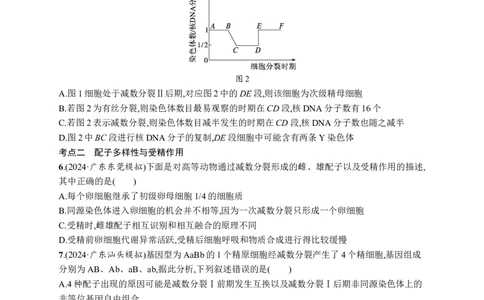 课时规范练19　减数分裂和受精作用过程_高中三年全科资料_高中_高中1_2026版《优化设计》新高考版一轮（生物+数学）_2026优化设计一轮复习(生物)_课后习题