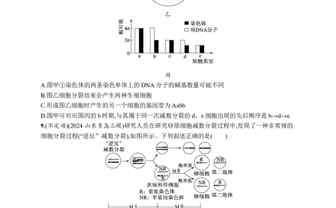课时规范练19　减数分裂和受精作用过程_高中三年全科资料_高中_高中1_2026版《优化设计》新高考版一轮（生物+数学）_2026优化设计一轮复习(生物)_课后习题