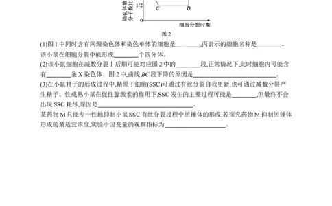 课时规范练19　减数分裂和受精作用过程_高中三年全科资料_高中_高中1_2026版《优化设计》新高考版一轮（生物+数学）_2026优化设计一轮复习(生物)_课后习题
