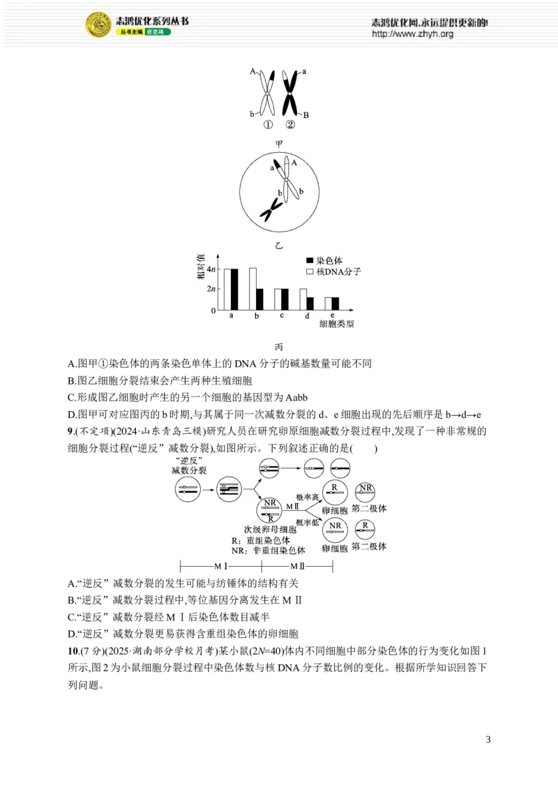 课时规范练19　减数分裂和受精作用过程_高中三年全科资料_高中_高中1_2026版《优化设计》新高考版一轮（生物+数学）_2026优化设计一轮复习(生物)_课后习题