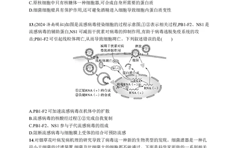 课时规范练1　走近细胞_高中三年全科资料_高中_高中1_2026版《优化设计》新高考版一轮（生物+数学）_2026优化设计一轮复习(生物)_高考总复习优化设计一轮用书生物H配人教版word_课后习题