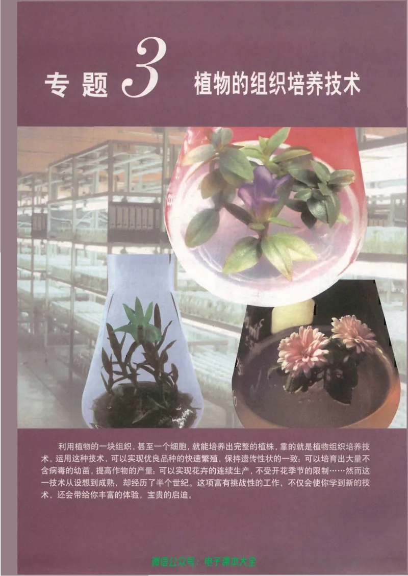 选修1《生物技术实践》_高中三年全科资料_高中_高中电子教材_旧教材_高中生物（人教旧版）_高中生物选修1-3（3本）