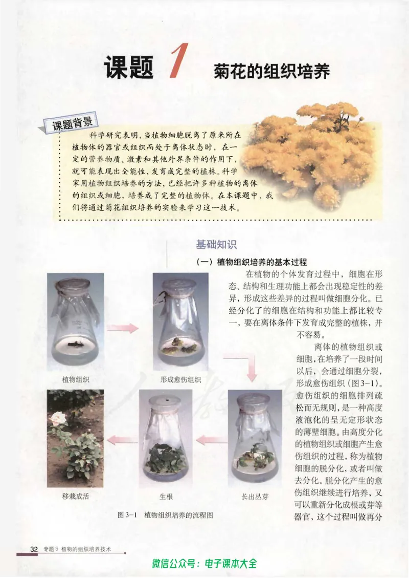 选修1《生物技术实践》_高中三年全科资料_高中_高中电子教材_旧教材_高中生物（人教旧版）_高中生物选修1-3（3本）