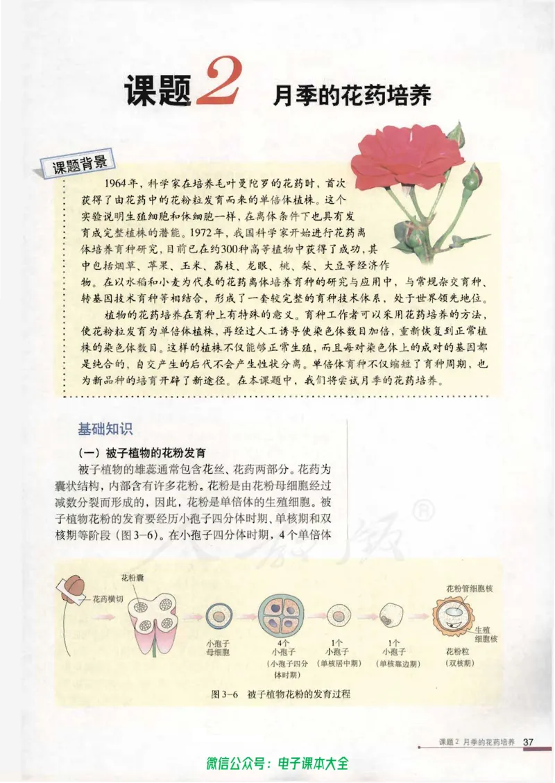 选修1《生物技术实践》_高中三年全科资料_高中_高中电子教材_旧教材_高中生物（人教旧版）_高中生物选修1-3（3本）
