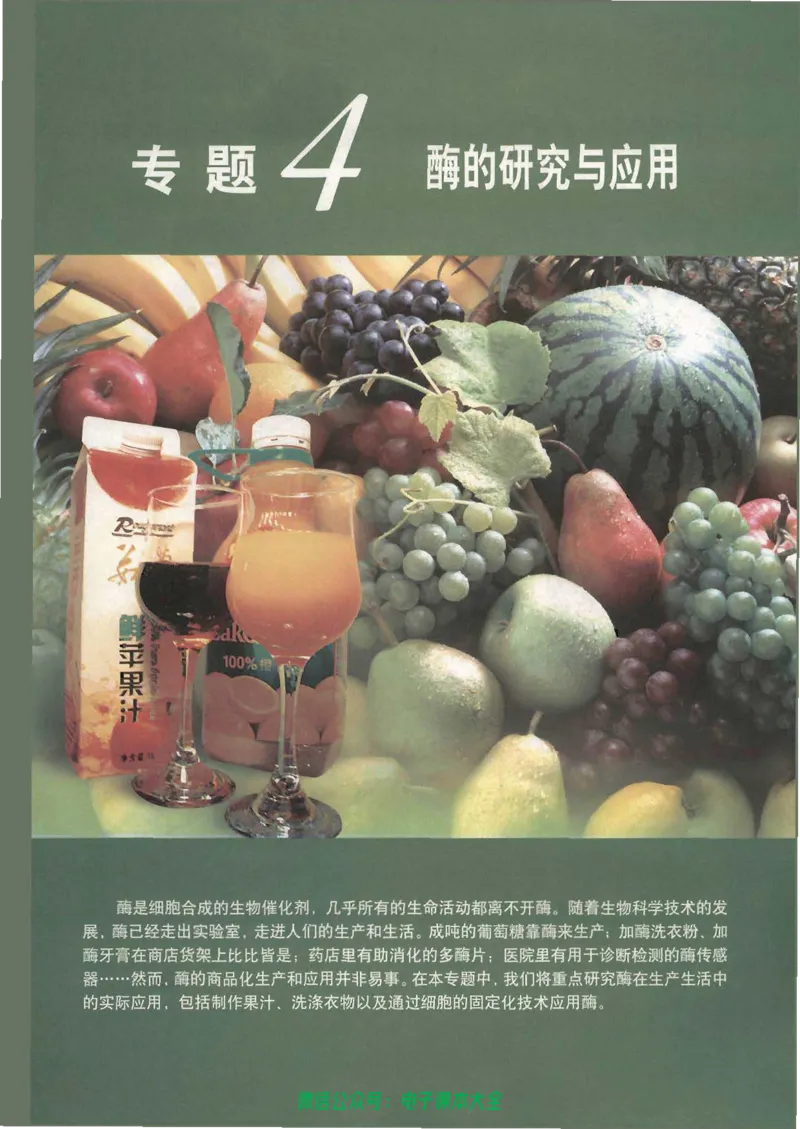 选修1《生物技术实践》_高中三年全科资料_高中_高中电子教材_旧教材_高中生物（人教旧版）_高中生物选修1-3（3本）