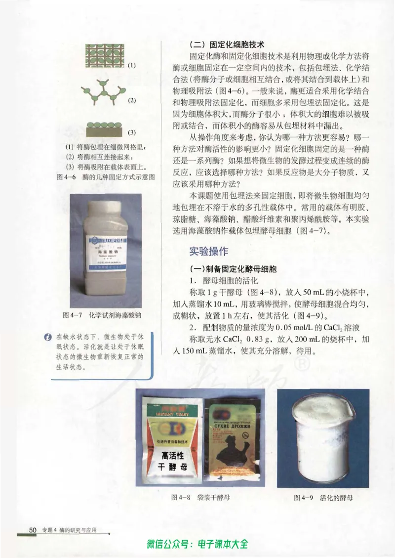 选修1《生物技术实践》_高中三年全科资料_高中_高中电子教材_旧教材_高中生物（人教旧版）_高中生物选修1-3（3本）