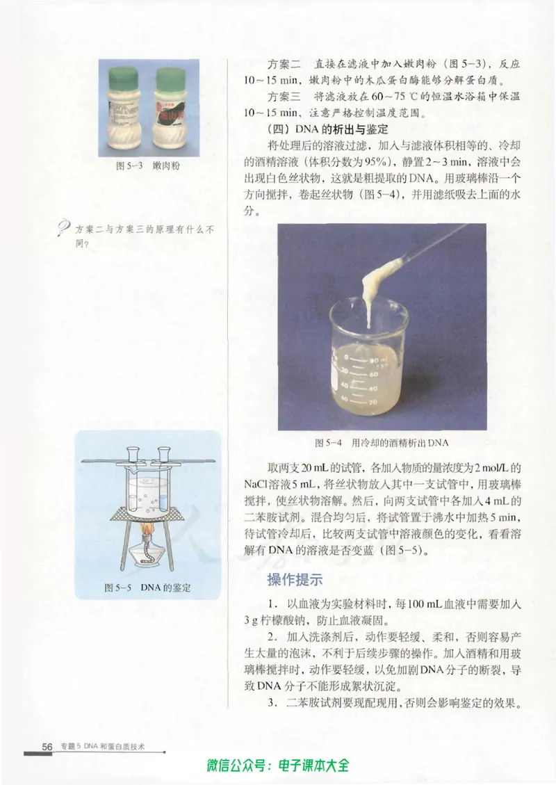 选修1《生物技术实践》_高中三年全科资料_高中_高中电子教材_旧教材_高中生物（人教旧版）_高中生物选修1-3（3本）
