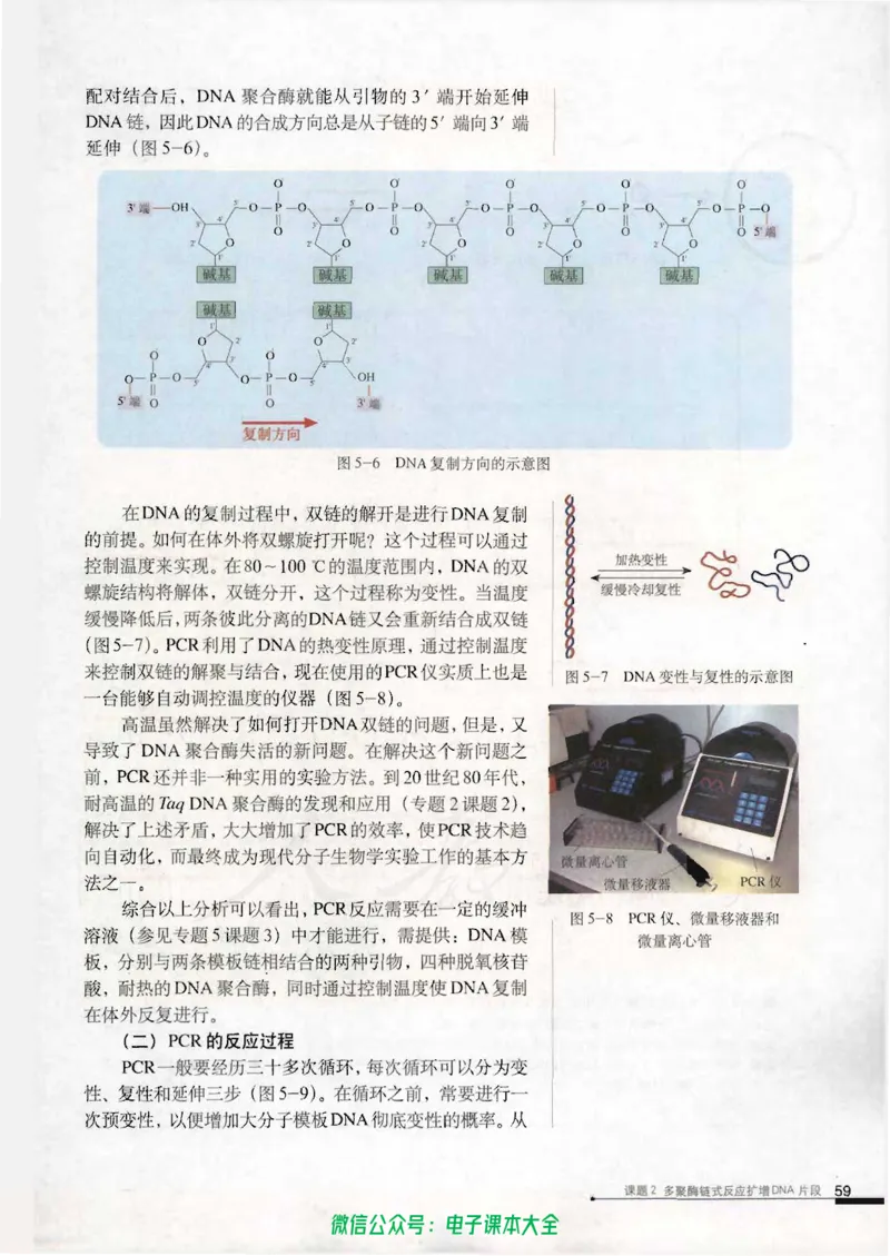 选修1《生物技术实践》_高中三年全科资料_高中_高中电子教材_旧教材_高中生物（人教旧版）_高中生物选修1-3（3本）