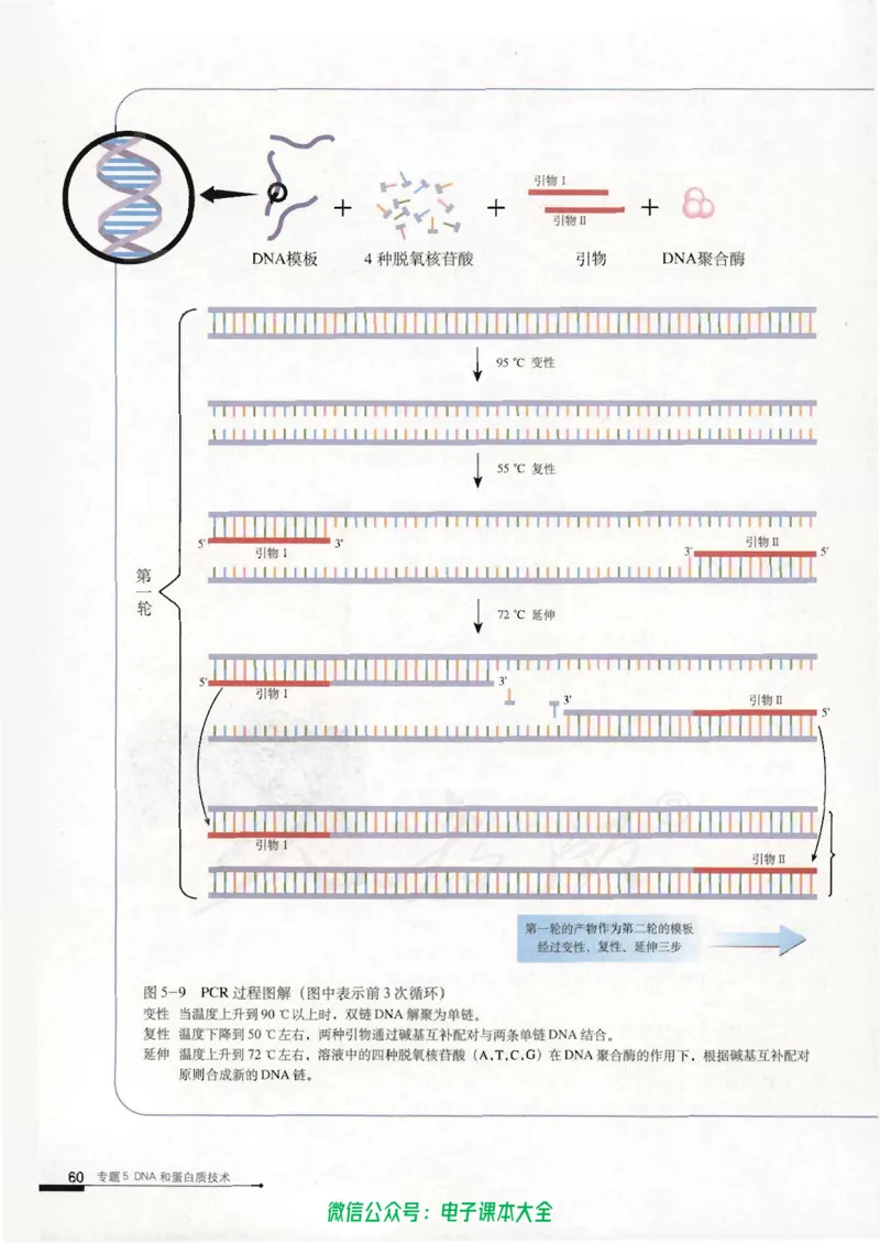 选修1《生物技术实践》_高中三年全科资料_高中_高中电子教材_旧教材_高中生物（人教旧版）_高中生物选修1-3（3本）