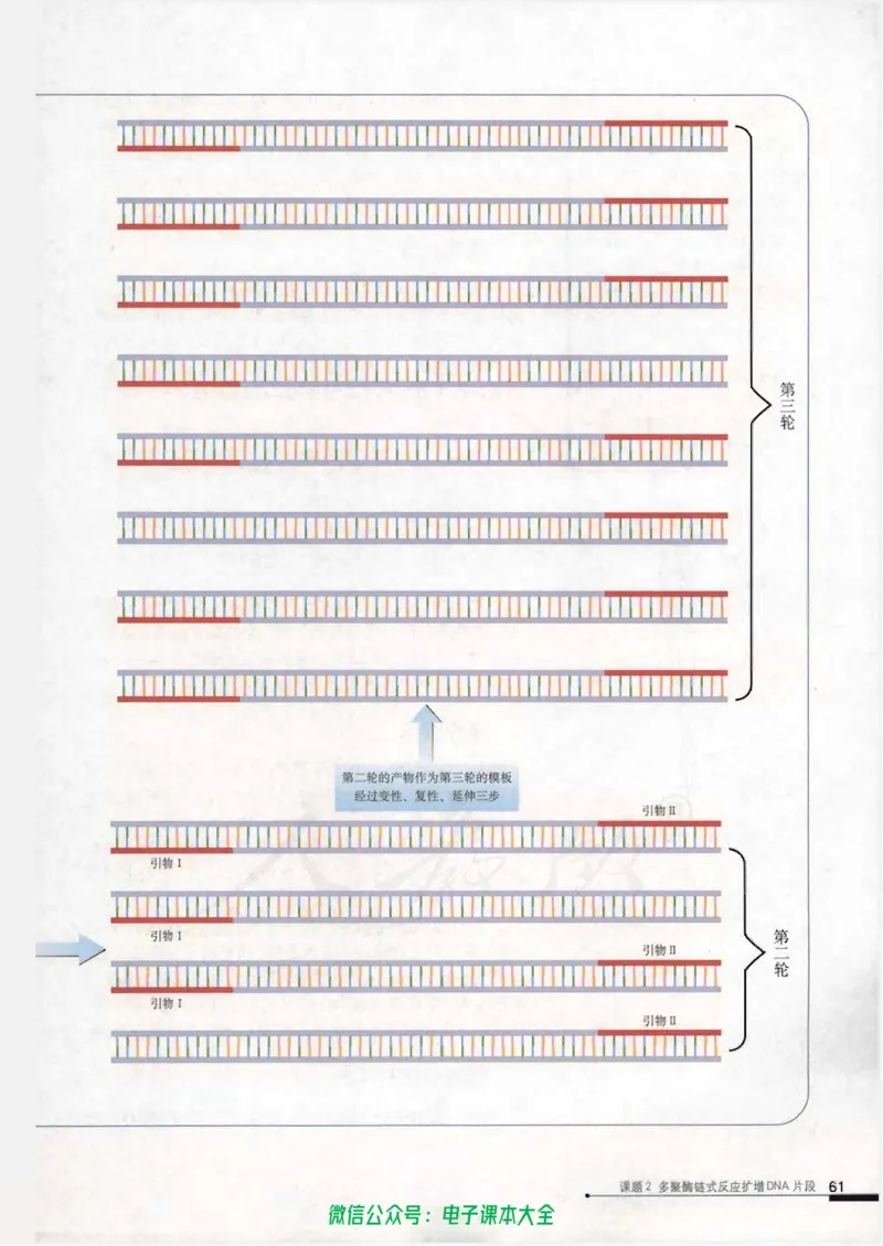 选修1《生物技术实践》_高中三年全科资料_高中_高中电子教材_旧教材_高中生物（人教旧版）_高中生物选修1-3（3本）