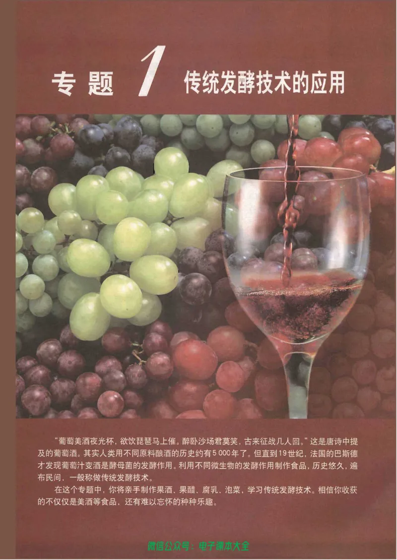选修1《生物技术实践》_高中三年全科资料_高中_高中电子教材_旧教材_高中生物（人教旧版）_高中生物选修1-3（3本）