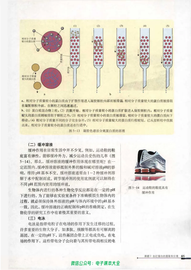 选修1《生物技术实践》_高中三年全科资料_高中_高中电子教材_旧教材_高中生物（人教旧版）_高中生物选修1-3（3本）