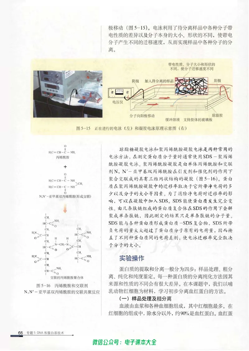 选修1《生物技术实践》_高中三年全科资料_高中_高中电子教材_旧教材_高中生物（人教旧版）_高中生物选修1-3（3本）