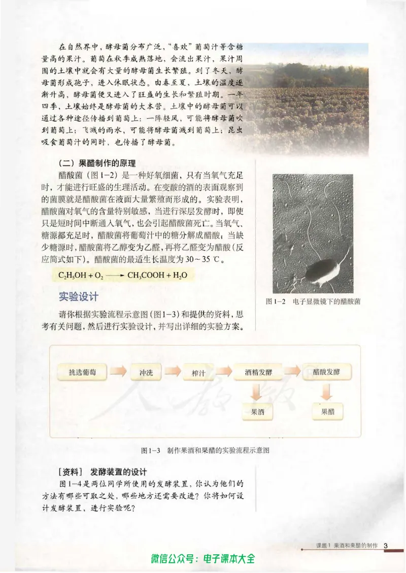 选修1《生物技术实践》_高中三年全科资料_高中_高中电子教材_旧教材_高中生物（人教旧版）_高中生物选修1-3（3本）