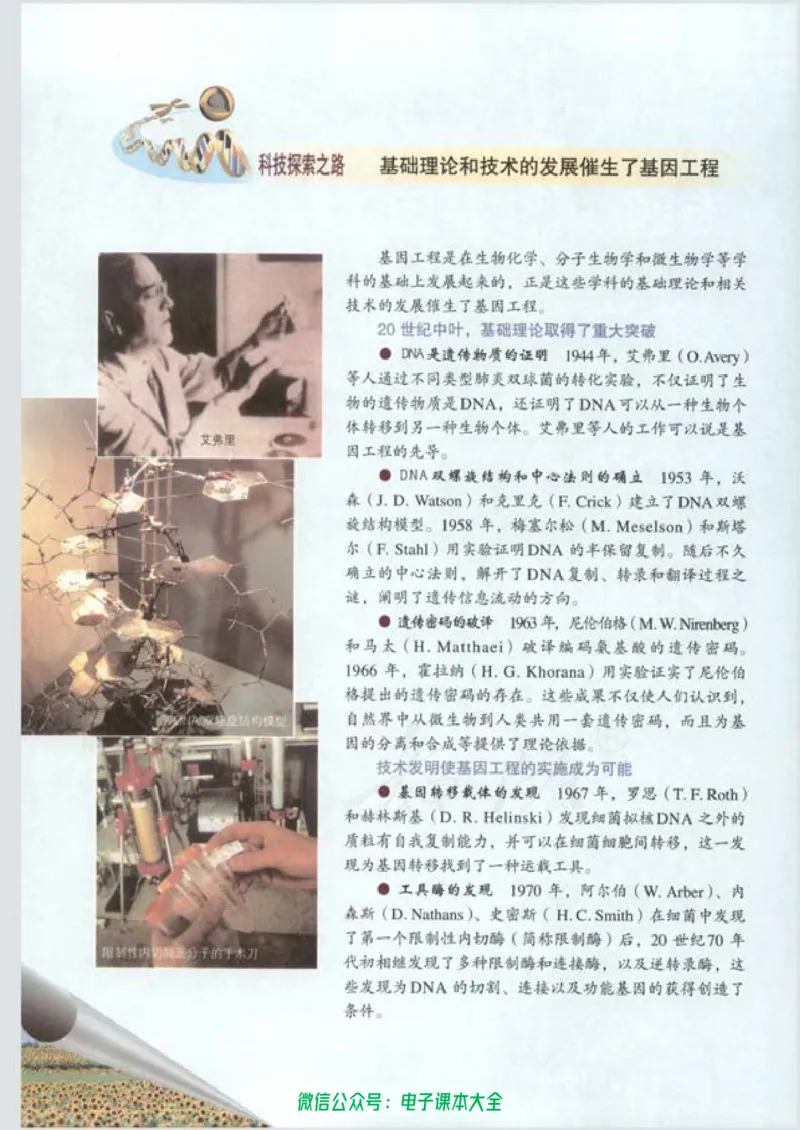 选修3《现代生物科技专题》_高中三年全科资料_高中_高中电子教材_旧教材_高中生物（人教旧版）_高中生物选修1-3（3本）