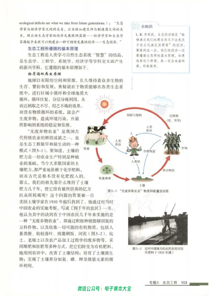 选修3《现代生物科技专题》_高中三年全科资料_高中_高中电子教材_旧教材_高中生物（人教旧版）_高中生物选修1-3（3本）