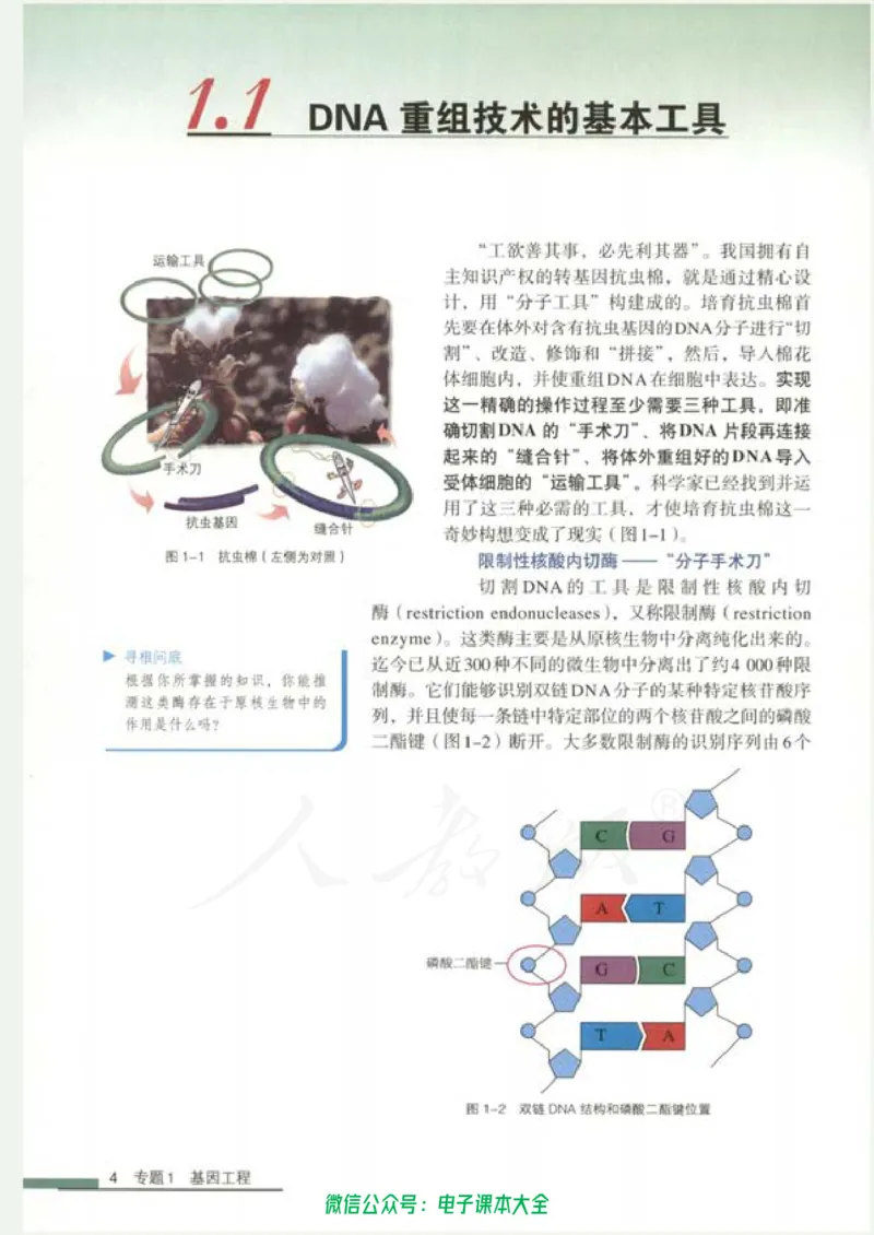 选修3《现代生物科技专题》_高中三年全科资料_高中_高中电子教材_旧教材_高中生物（人教旧版）_高中生物选修1-3（3本）