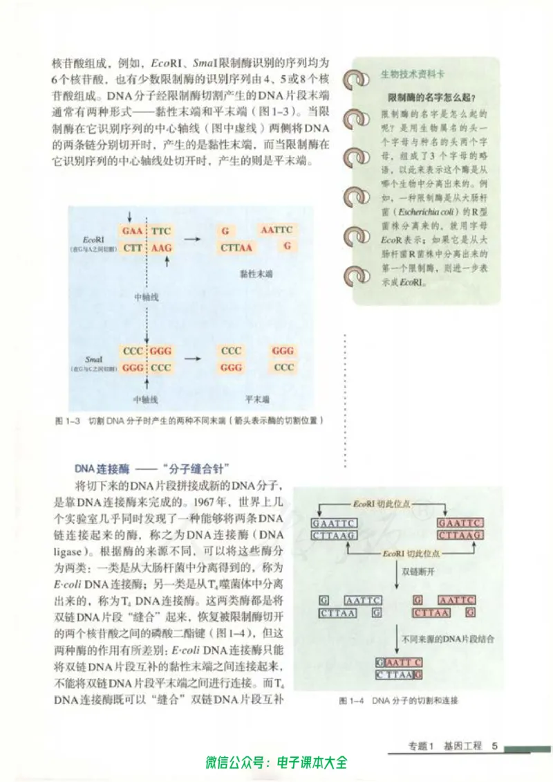 选修3《现代生物科技专题》_高中三年全科资料_高中_高中电子教材_旧教材_高中生物（人教旧版）_高中生物选修1-3（3本）