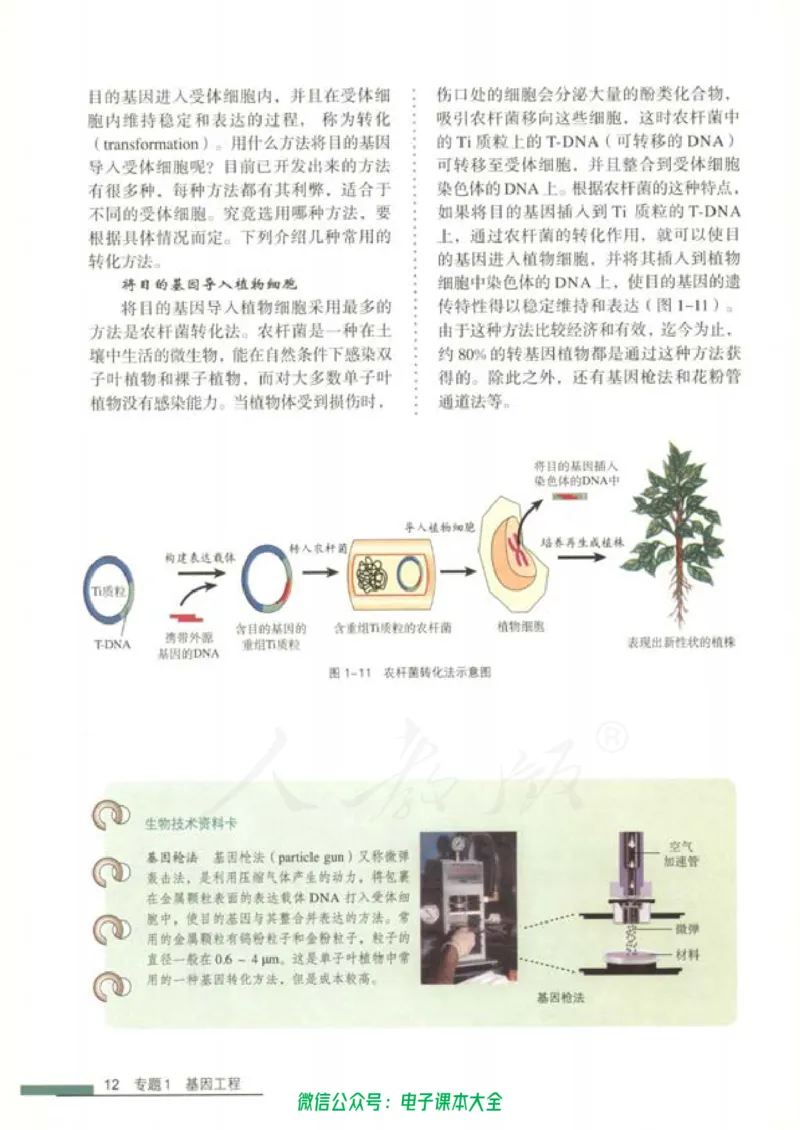 选修3《现代生物科技专题》_高中三年全科资料_高中_高中电子教材_旧教材_高中生物（人教旧版）_高中生物选修1-3（3本）