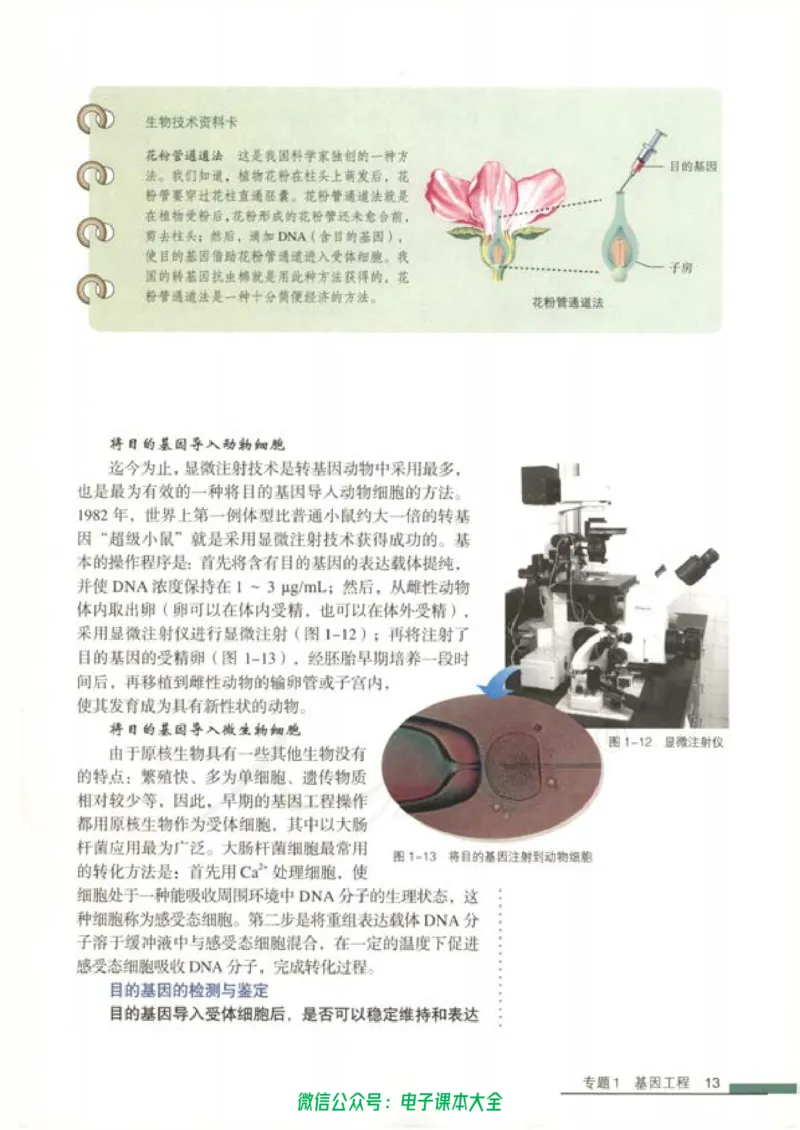 选修3《现代生物科技专题》_高中三年全科资料_高中_高中电子教材_旧教材_高中生物（人教旧版）_高中生物选修1-3（3本）