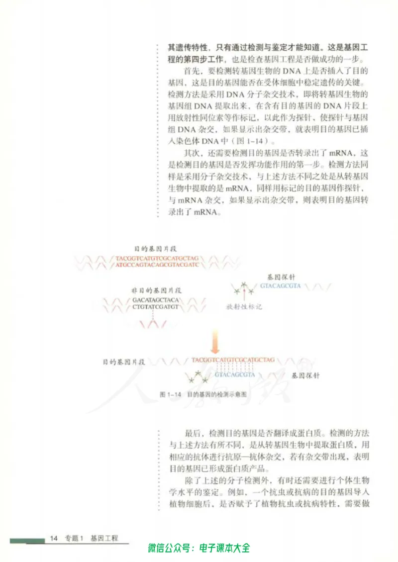 选修3《现代生物科技专题》_高中三年全科资料_高中_高中电子教材_旧教材_高中生物（人教旧版）_高中生物选修1-3（3本）