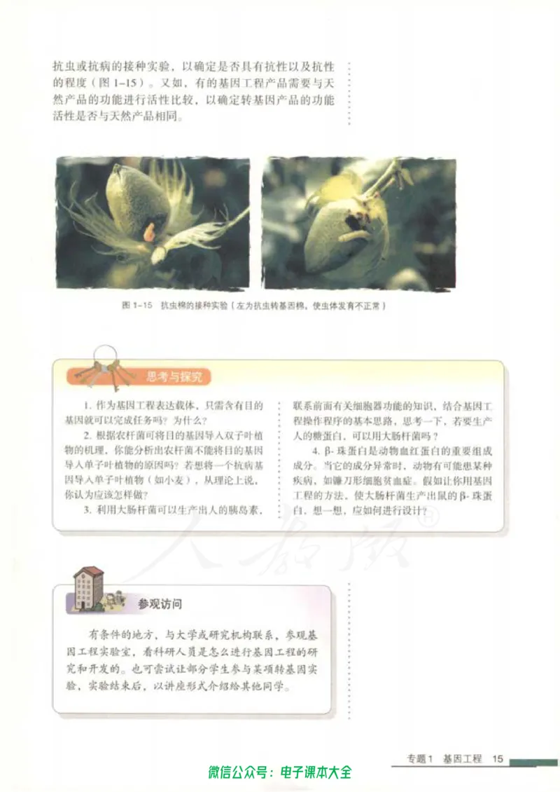 选修3《现代生物科技专题》_高中三年全科资料_高中_高中电子教材_旧教材_高中生物（人教旧版）_高中生物选修1-3（3本）