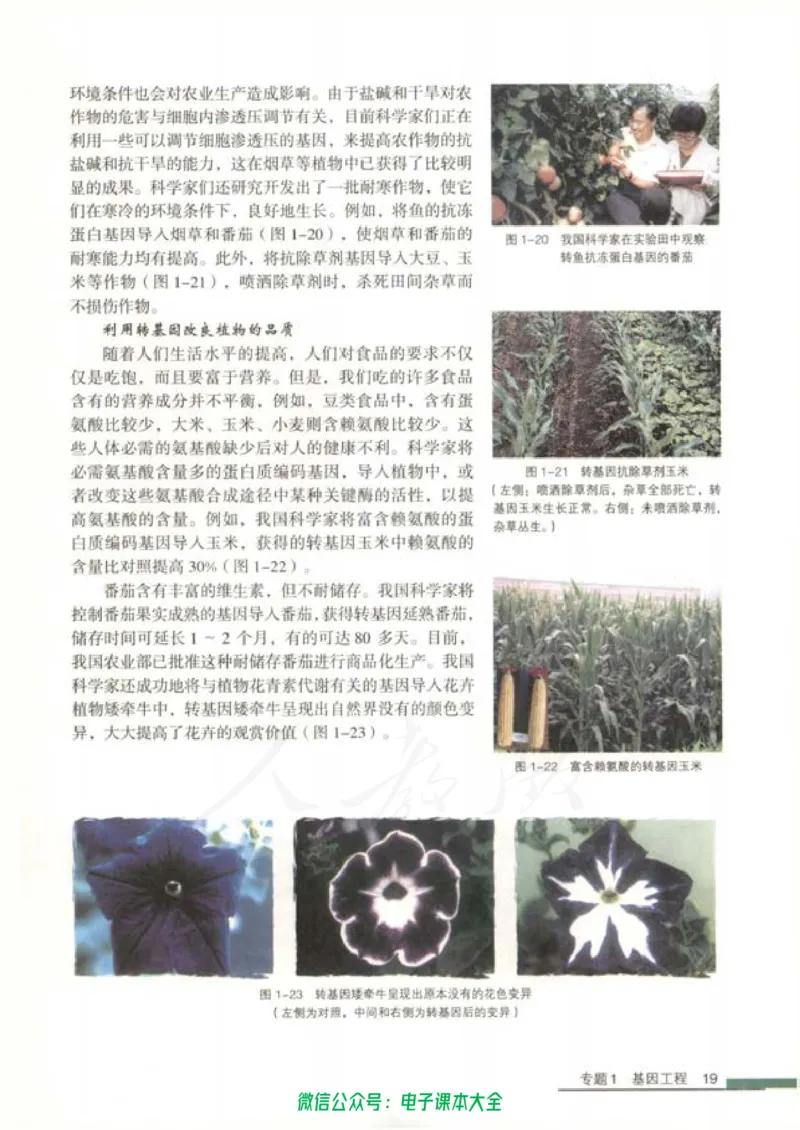 选修3《现代生物科技专题》_高中三年全科资料_高中_高中电子教材_旧教材_高中生物（人教旧版）_高中生物选修1-3（3本）