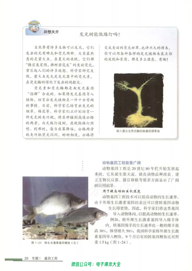 选修3《现代生物科技专题》_高中三年全科资料_高中_高中电子教材_旧教材_高中生物（人教旧版）_高中生物选修1-3（3本）