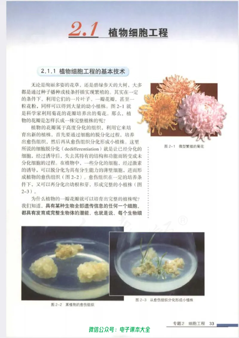 选修3《现代生物科技专题》_高中三年全科资料_高中_高中电子教材_旧教材_高中生物（人教旧版）_高中生物选修1-3（3本）