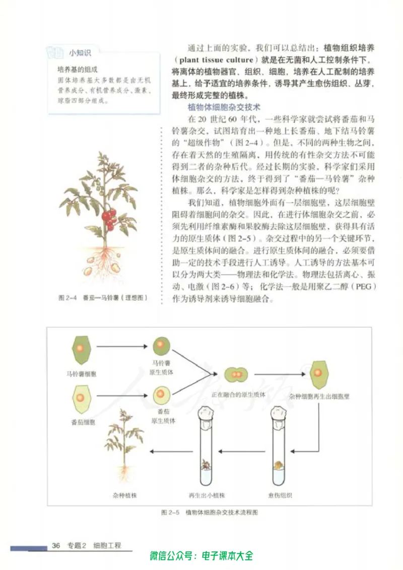 选修3《现代生物科技专题》_高中三年全科资料_高中_高中电子教材_旧教材_高中生物（人教旧版）_高中生物选修1-3（3本）
