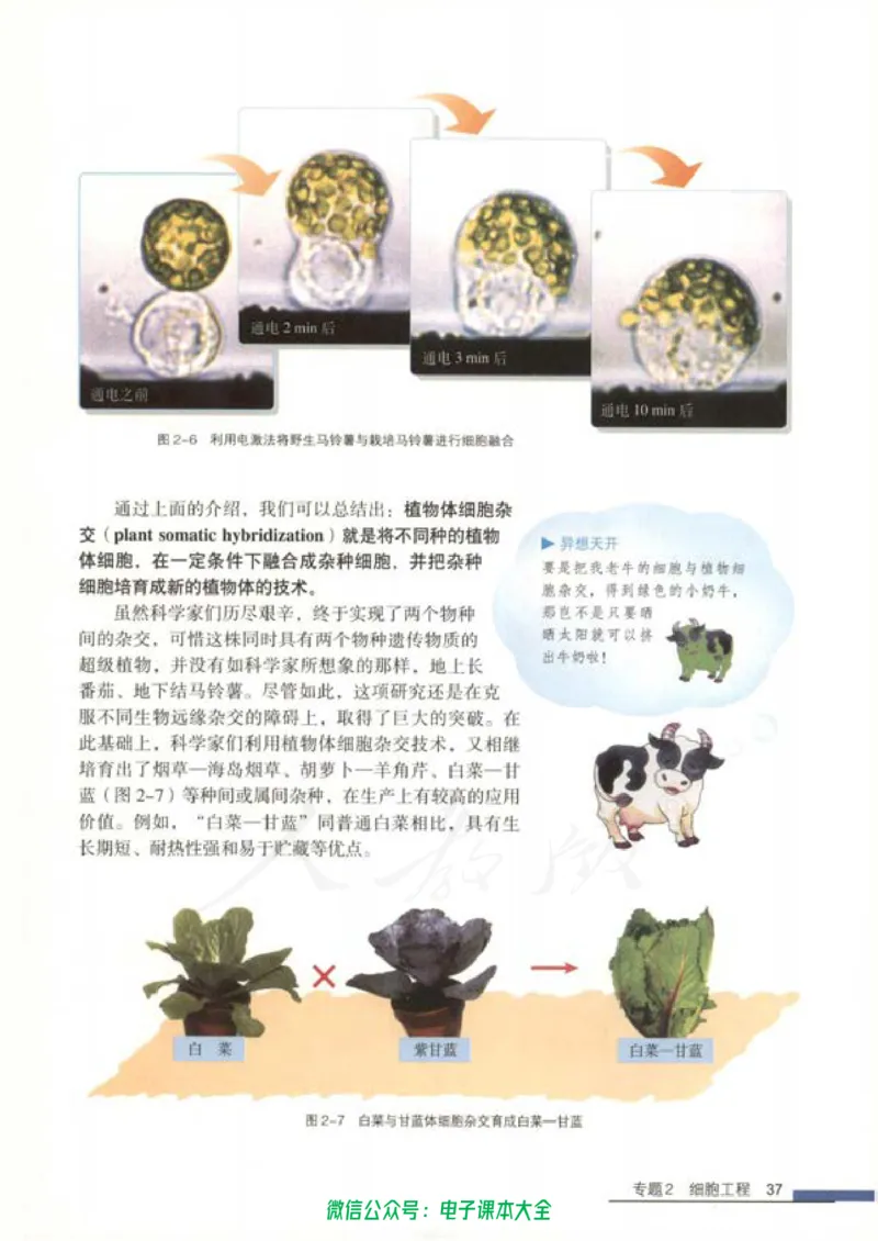 选修3《现代生物科技专题》_高中三年全科资料_高中_高中电子教材_旧教材_高中生物（人教旧版）_高中生物选修1-3（3本）