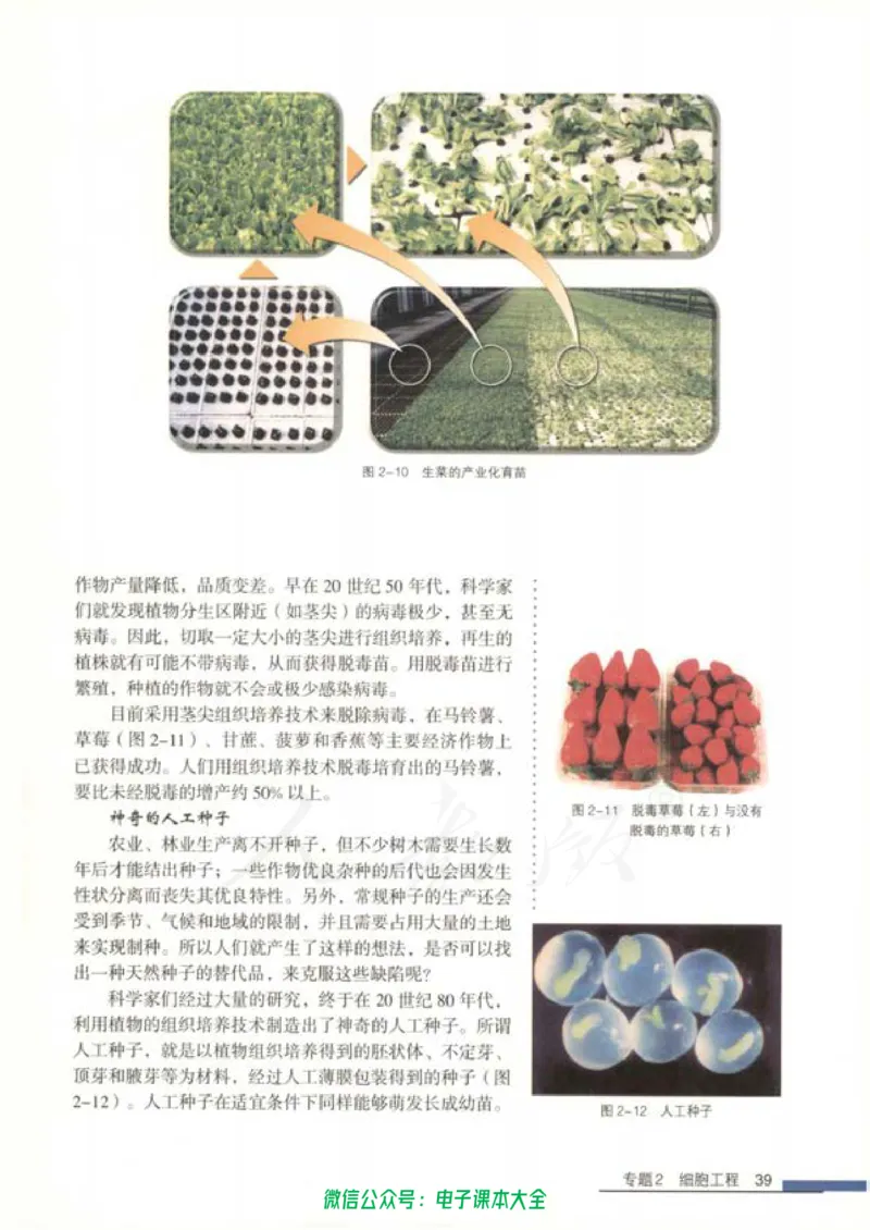 选修3《现代生物科技专题》_高中三年全科资料_高中_高中电子教材_旧教材_高中生物（人教旧版）_高中生物选修1-3（3本）