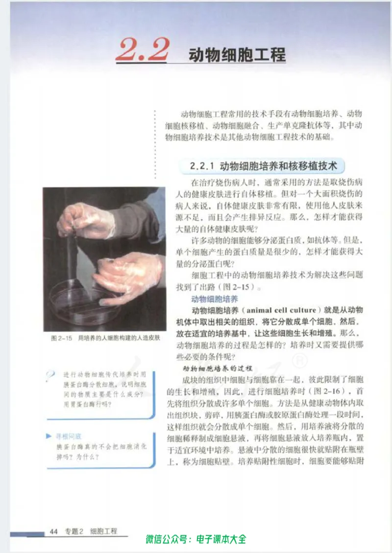 选修3《现代生物科技专题》_高中三年全科资料_高中_高中电子教材_旧教材_高中生物（人教旧版）_高中生物选修1-3（3本）