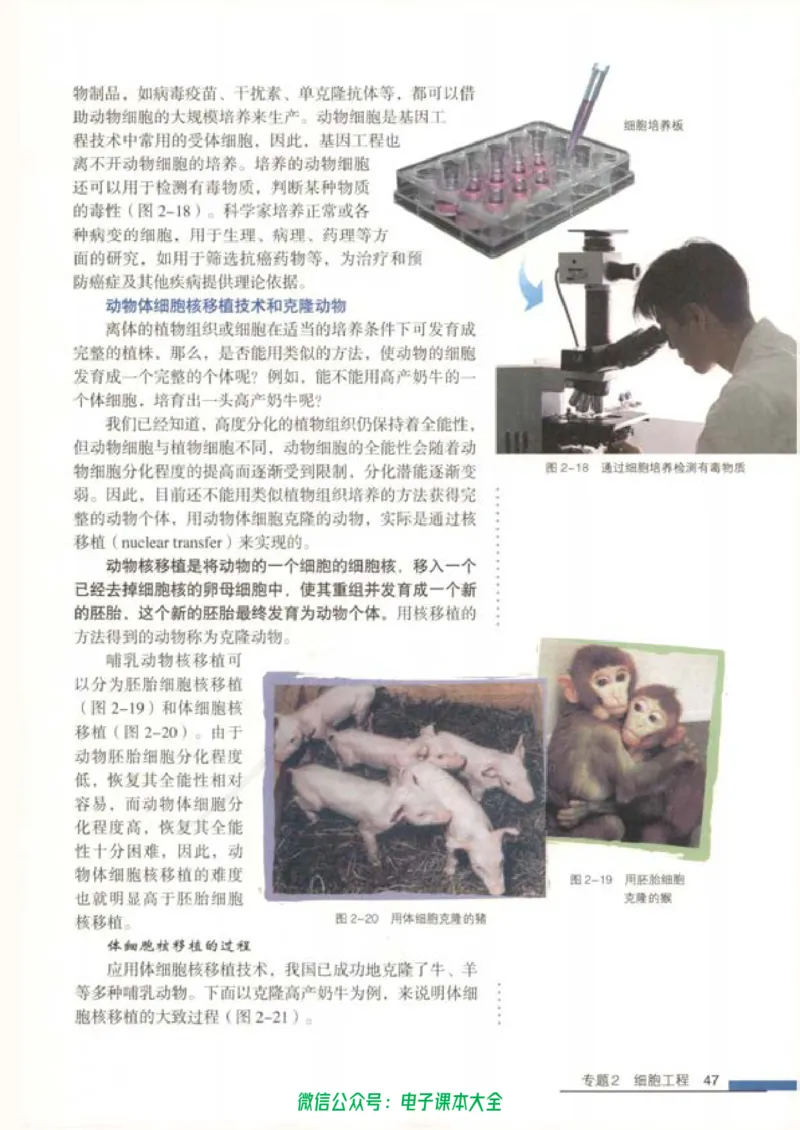 选修3《现代生物科技专题》_高中三年全科资料_高中_高中电子教材_旧教材_高中生物（人教旧版）_高中生物选修1-3（3本）