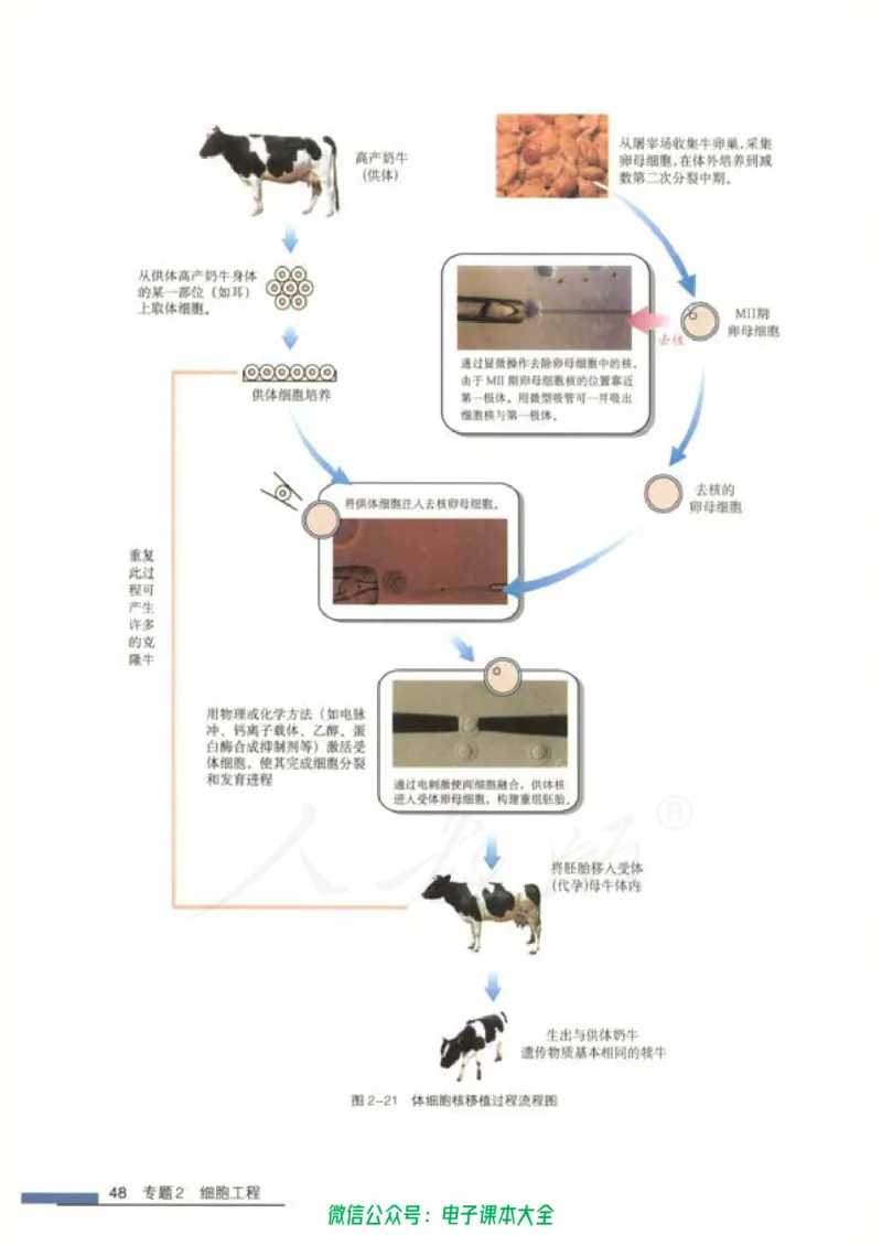 选修3《现代生物科技专题》_高中三年全科资料_高中_高中电子教材_旧教材_高中生物（人教旧版）_高中生物选修1-3（3本）