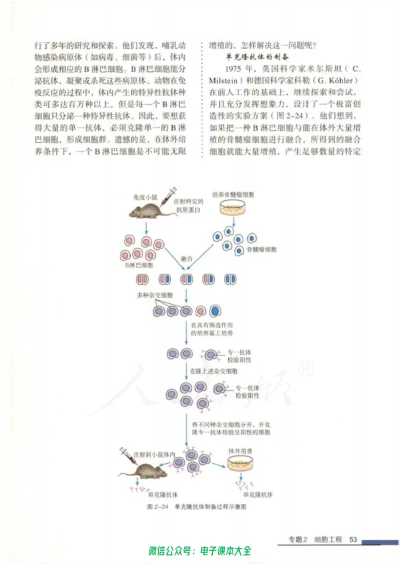 选修3《现代生物科技专题》_高中三年全科资料_高中_高中电子教材_旧教材_高中生物（人教旧版）_高中生物选修1-3（3本）