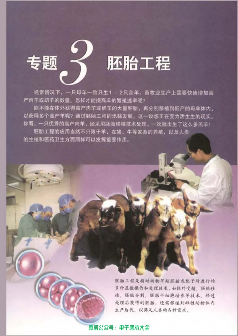选修3《现代生物科技专题》_高中三年全科资料_高中_高中电子教材_旧教材_高中生物（人教旧版）_高中生物选修1-3（3本）