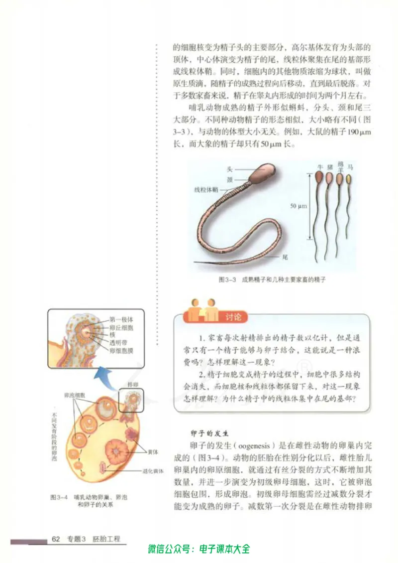 选修3《现代生物科技专题》_高中三年全科资料_高中_高中电子教材_旧教材_高中生物（人教旧版）_高中生物选修1-3（3本）